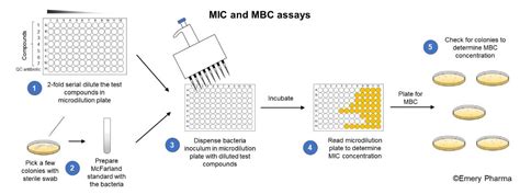 Minimum Inhibitory Concentration (MIC) - Emery Pharma