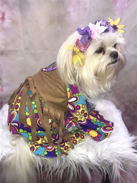 a small white dog wearing a colorful dress