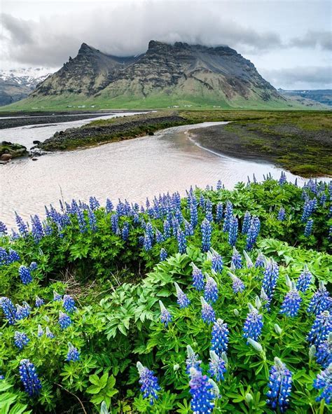 wanderlog: South East Coast, Iceland