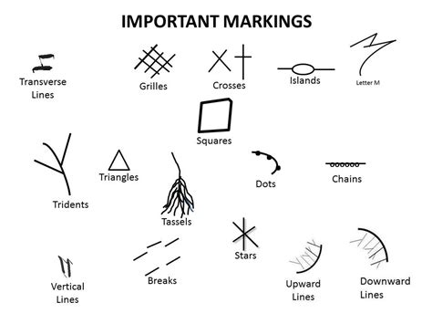 Palmistry Markings | Marks on the Hand | Palm Reading