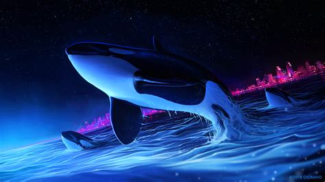 Dolphin Night Orca Whale Digital Art 4k, HD Wallpaper | Rare Gallery