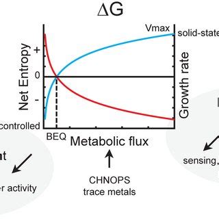 (PDF) Methanogens: pushing the boundaries of biology