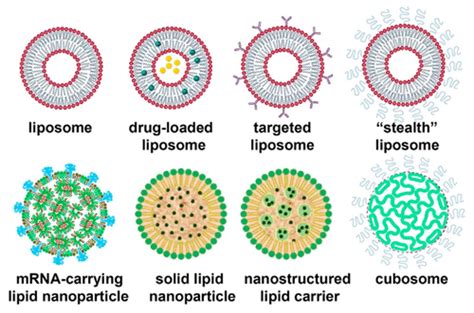 Lipid Nanoparticles