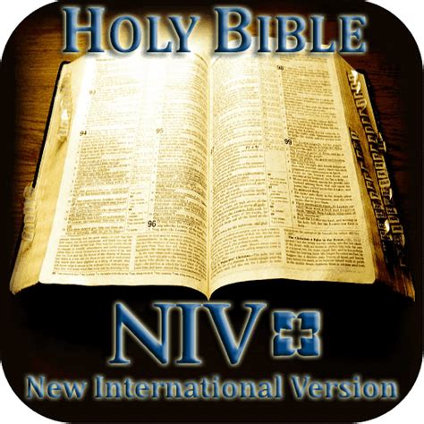 Best NIV Study Bible - Or Second Best NIV Study Bible