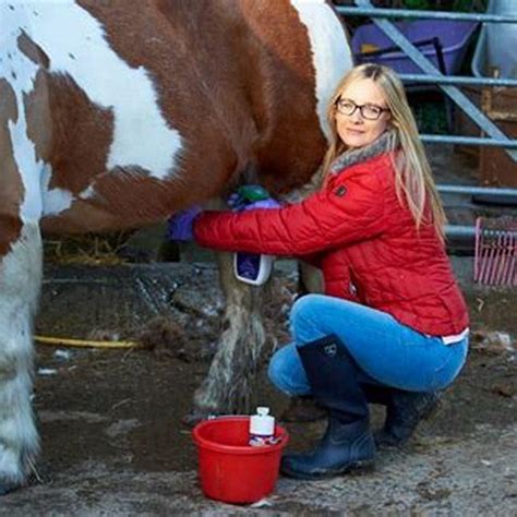 Do you have to clean a male horses sheath? - DIY Seattle