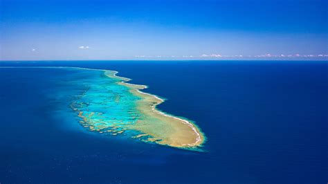 Nouvelle-Calédonie : en mer de Corail, une biodiversité mal protégée