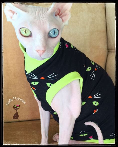 Pin on Sphynx Cat Holiday Clothes