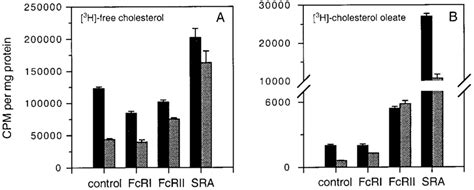 Bar graphs of metabolism of [ 3 H]cholesteryl linoleate-labeled... | Download Scientific Diagram