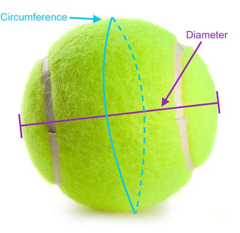 Tennis Ball Size & Bounce Test