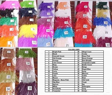 Ostrich Feathers For Sale | All Ostrich Feathers Wholesale - LAN Grupo