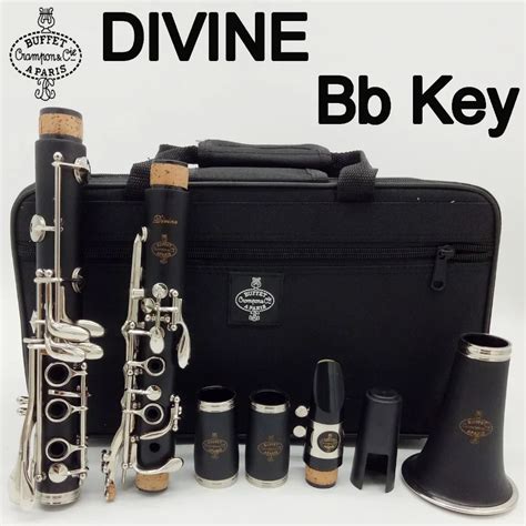 Brand New Buffet Crampon Paris Professional Bb Clarinet DIVINE Buffet ...