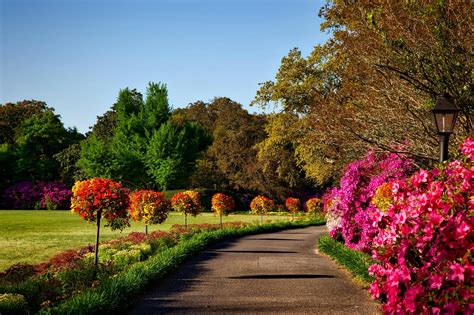 1000+ Amazing Flower Garden Photos · Pexels · Free Stock Photos