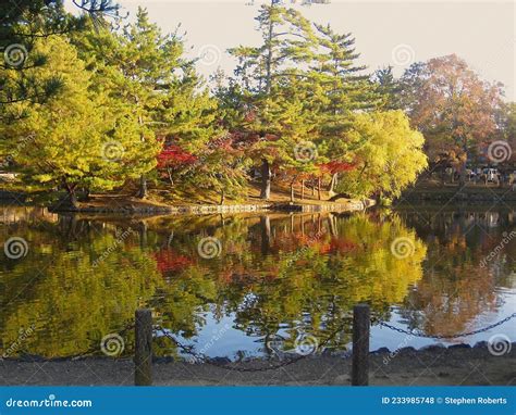 Exploring the Temples Around Nara, Japan Stock Photo - Image of colourful, bell: 233985748