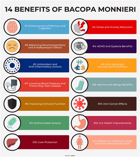 14 Benefits of Bacopa Monnieri: A Nootropic, Anti-inflammatory, and ...