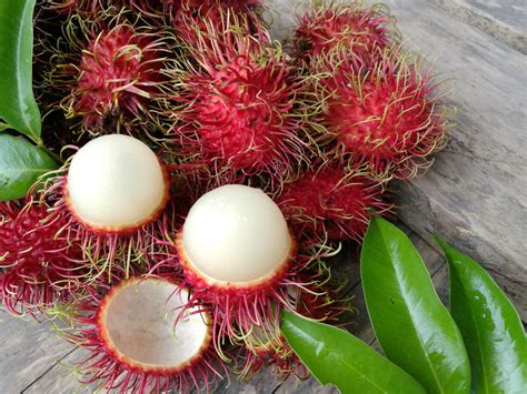 Discover the Rambutan | Sarasota Magazine