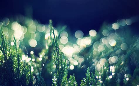 Bokeh Backgrounds Free Download