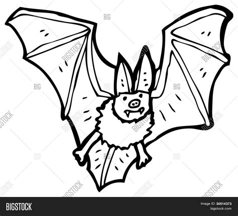 Vampire Bat Cartoon ( Image & Photo (Free Trial) | Bigstock