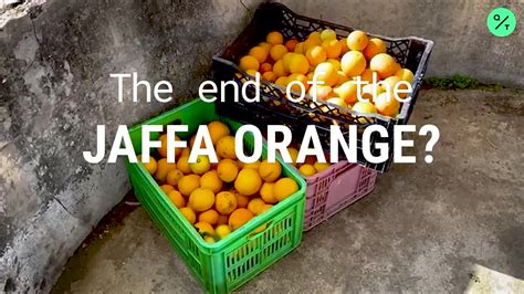 The End Of The Jaffa Orange? - Bloomberg