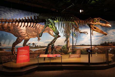 Perot Museum Of Nature And Science Celebrates Dinosaurs This Summer - Focus Daily News