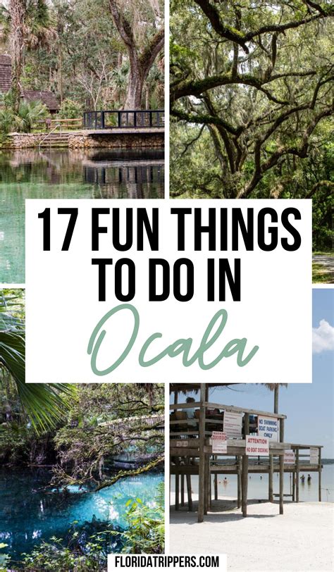 17 Fun Things To Do In Ocala Florida | Ocala florida, Florida travel destinations, Florida ...