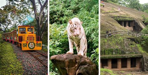 Sanjay Gandhi National Park Borivali East, Safari, Wildlife - Total Safari