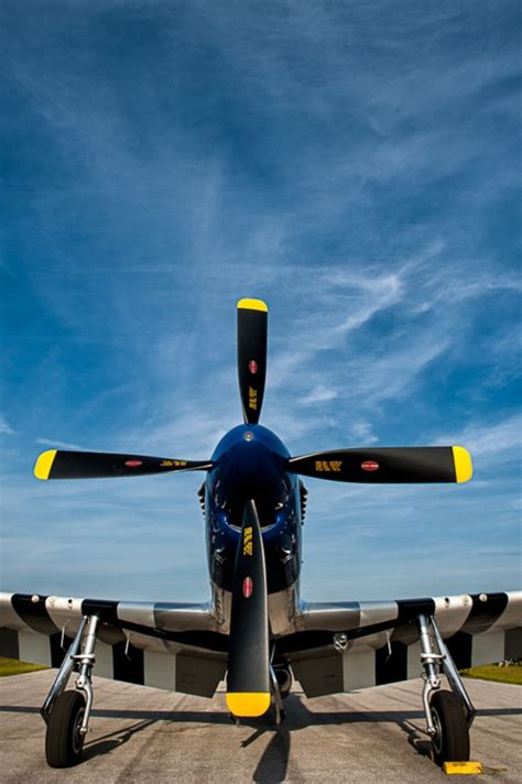 P-51 Mustang with D-Day stripes | Take Flight! | Pinterest