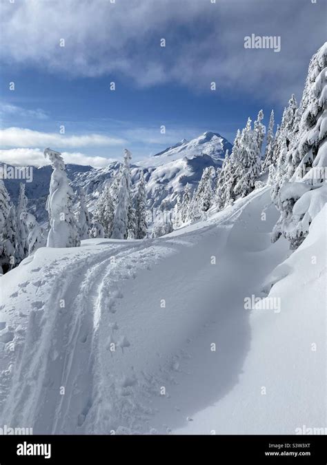 Mt. Baker Washington state Stock Photo - Alamy