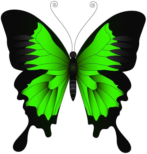 borboleta desenho - Pesquisa Google | Butterfly painting, Butterfly artwork, Butterfly drawing