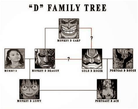 D-Family-Tree-One-Piece | Anime Meme