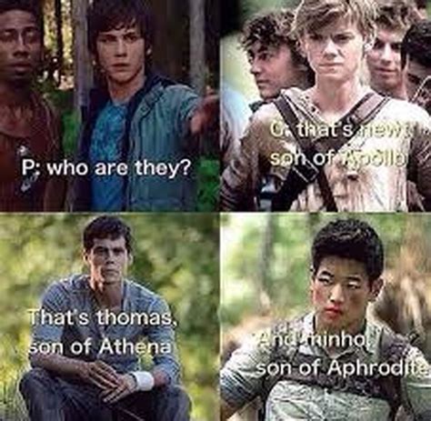 Maze runner memes | Fandom