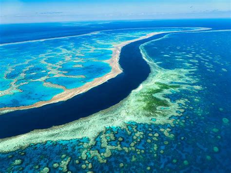 FishingBooker: Great Barrier Reef Fishing: The Complete Guide