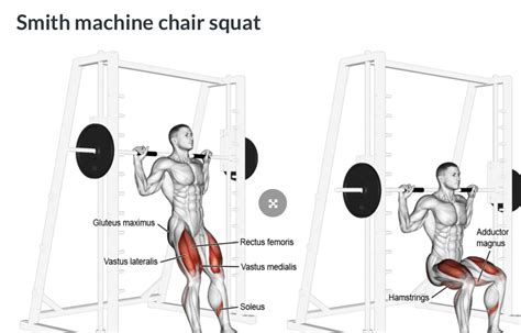 workout - Why should we put our feet forward in Smith Machine Squat? - Physical Fitness Stack ...