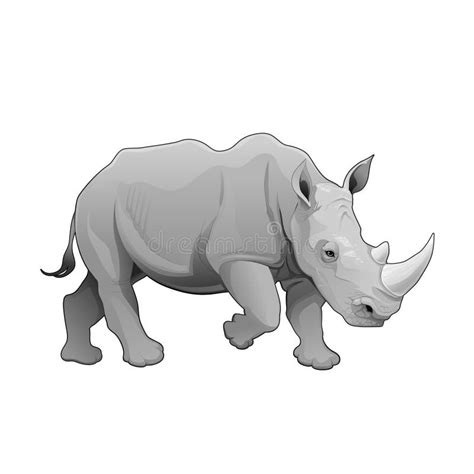 Rhinoceros. stock vector. Illustration of realistic, african - 38479185