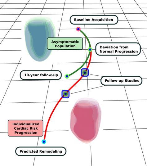 Cardiac remodeling process over time (green = adaptive remodeling due ...