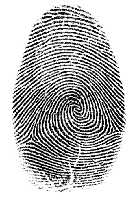 Fingerprint Evidence Alone Not Necessarily Enough For a Criminal ...