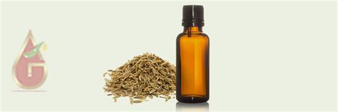 Caraway Oil – Essential Oils