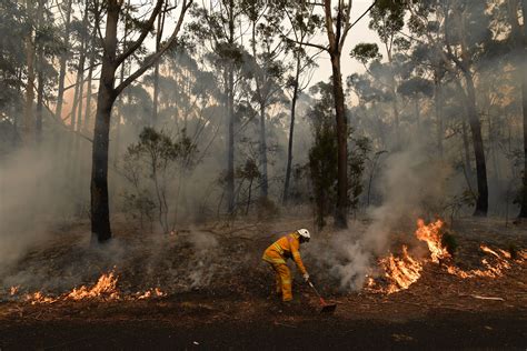 What the Australian Bushfires Mean for the Rest of the World