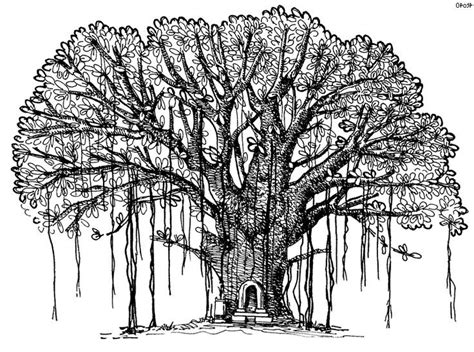 Banyan Tree Pencil Drawing - bestpencildrawing