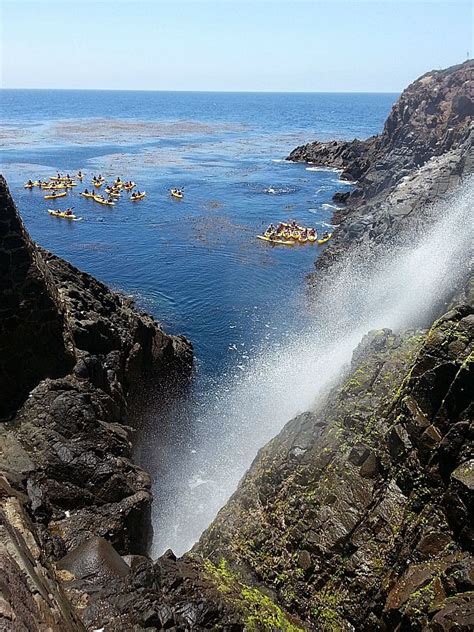 La Bufadora - Ensenada, Baja California, Mexico Ensenada Baja California, Ensenada Mexico, Baja ...