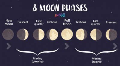 Moon Magic: Spells for Every Lunar Phase – Spells8