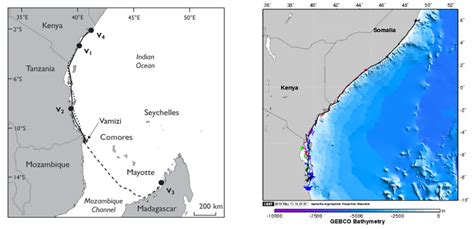 Migratory behavior and management implications of green sea turtles in the Western Indian Ocean ...