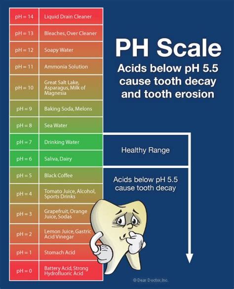 The Alkaline Diet Will Balance The Ph With The Human Body