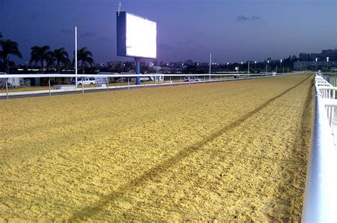 About Greyville Racecourse | Gold Circle Horse Racing And Betting