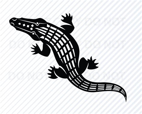 Alligator Vector Art at Vectorified.com | Collection of Alligator Vector Art free for personal use