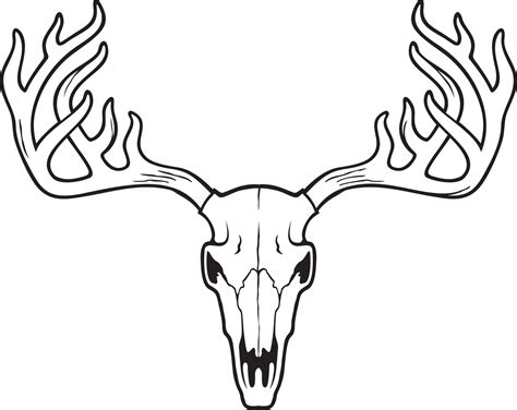 Deer skull black and white vector illustration 6218055 Vector Art at ...