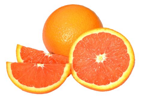 Cara Cara Navel Tree (1-2 feet) - Georgia Grown Citrus in 2021 | Navel oranges, Oranges, Citrus