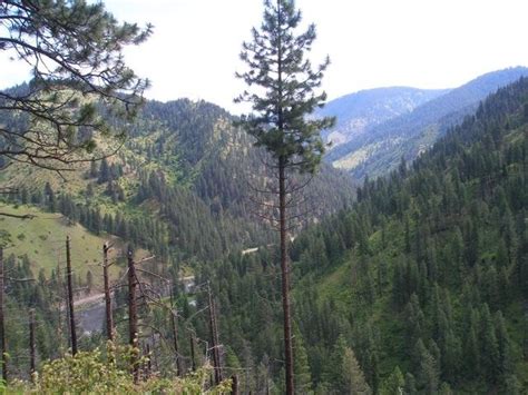 Elk City - Wilderness Property, Elk City, Idaho