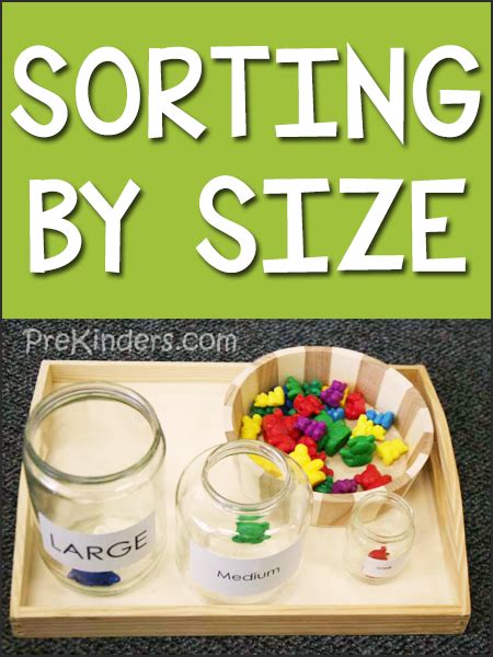 Sorting Manipulatives