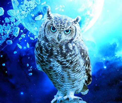 Cool Wallpapers The Owl House