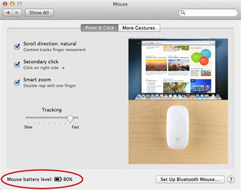 How to Check Your Magic Mouse's Battery Life | Macinstruct